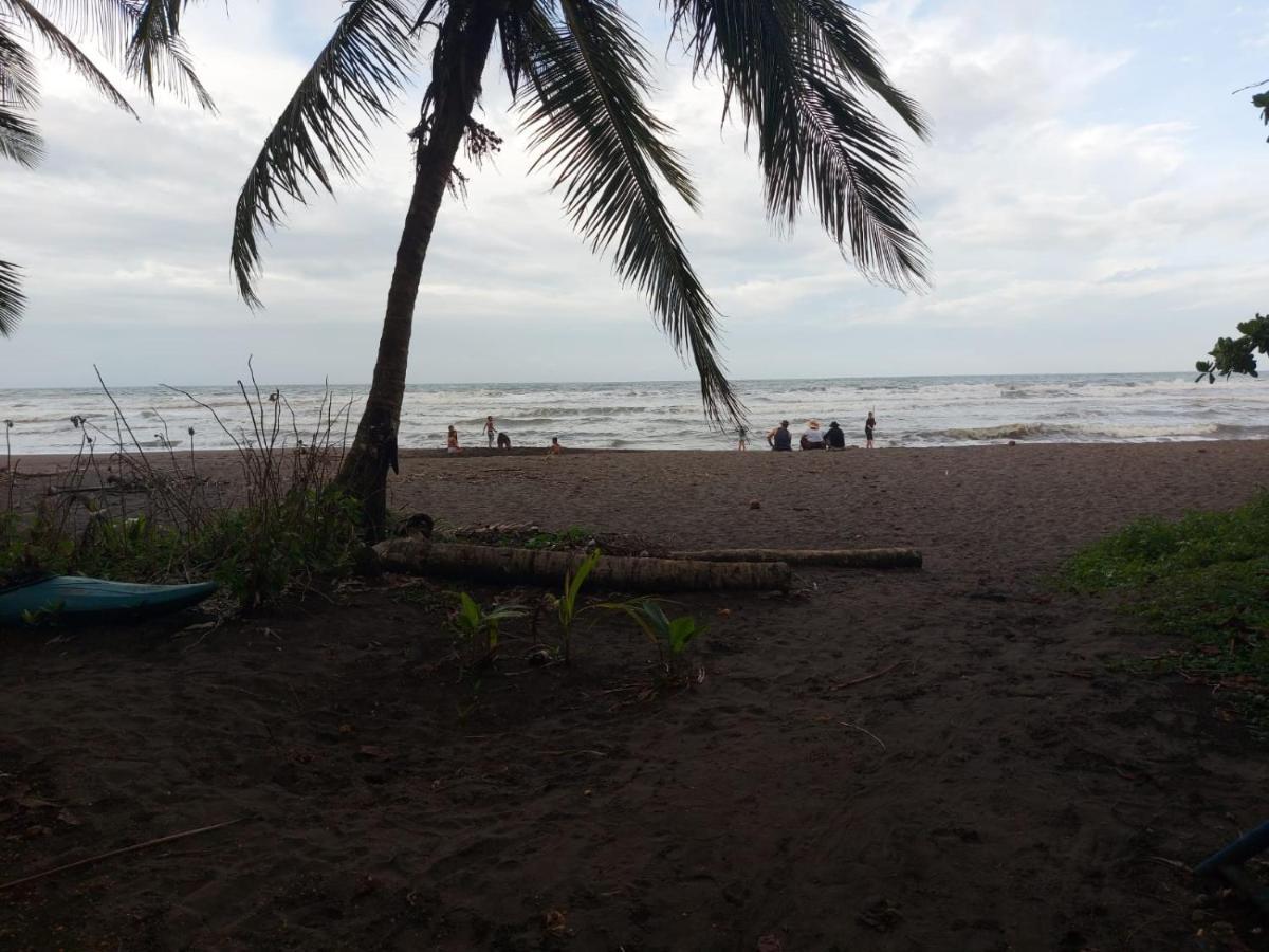 Bed and Breakfast Casa Caribe Tortuguero Esterno foto